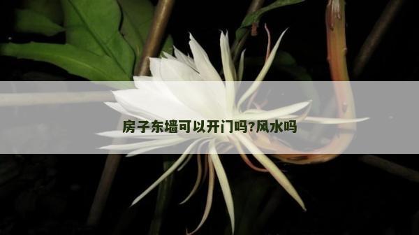 房子東墻可以開門嗎?風水嗎