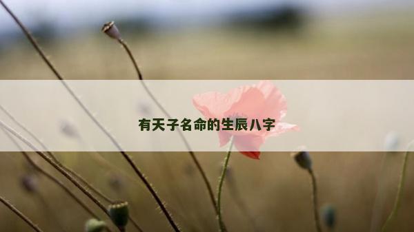 有天子名命的生辰八字