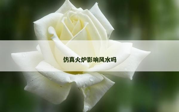仿真火爐影響風水嗎