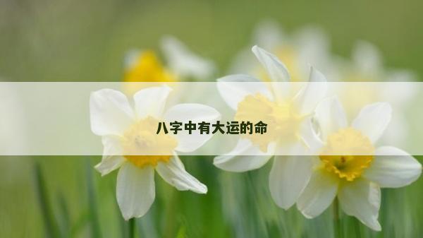 八字中有大運的命