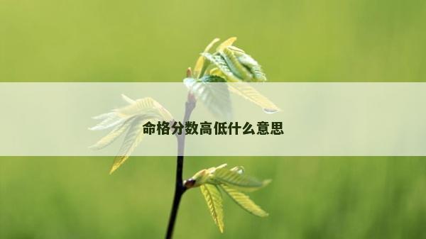 命格分數高低什么意思