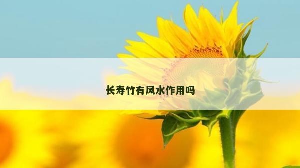 長(zhǎng)壽竹有風(fēng)水作用嗎