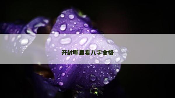 開封哪里看八字命格