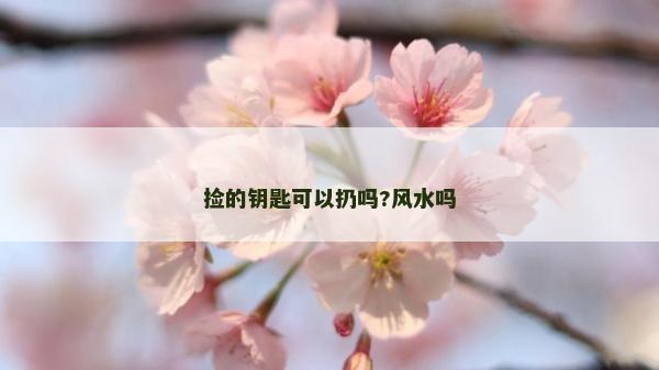 撿的鑰匙可以扔嗎?風水嗎