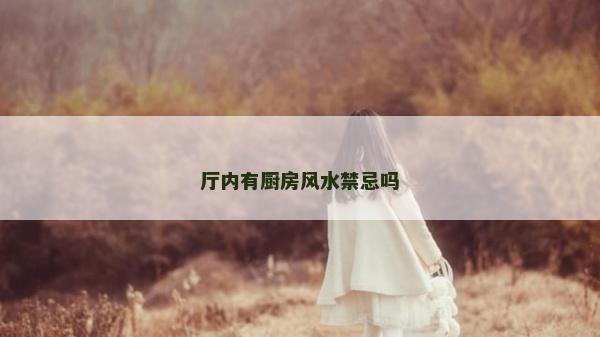 廳內有廚房風水禁忌嗎