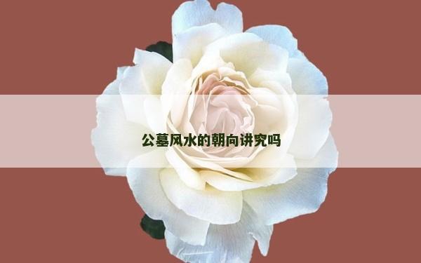 公墓風水的朝向講究嗎