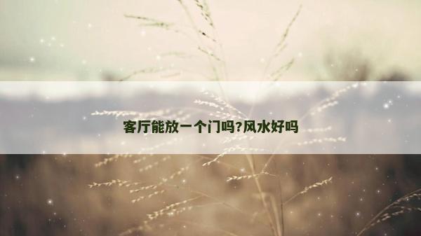 客廳能放一個門嗎?風水好嗎