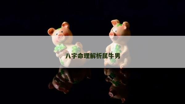 八字命理解析屬牛男