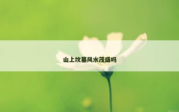山上墳墓風水茂盛嗎