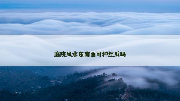 庭院風水東南面可種絲瓜嗎