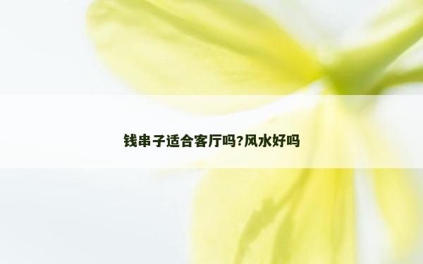 錢串子適合客廳嗎?風水好嗎