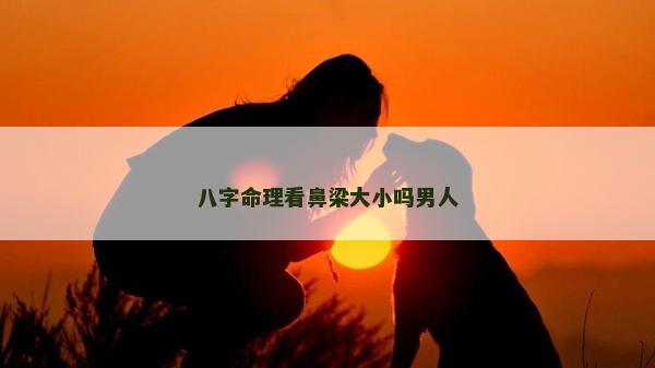 八字命理看鼻梁大小嗎男人