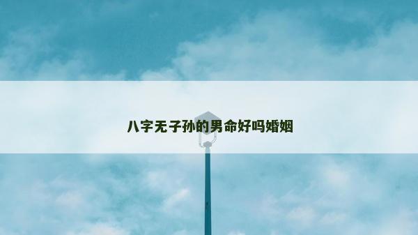 八字無子孫的男命好嗎婚姻