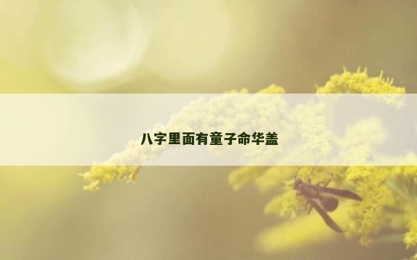 八字里面有童子命華蓋