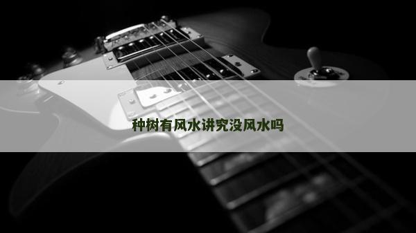種樹(shù)有風(fēng)水講究沒(méi)風(fēng)水嗎