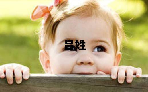 呂姓取名朗朗上口的男寶寶名字
