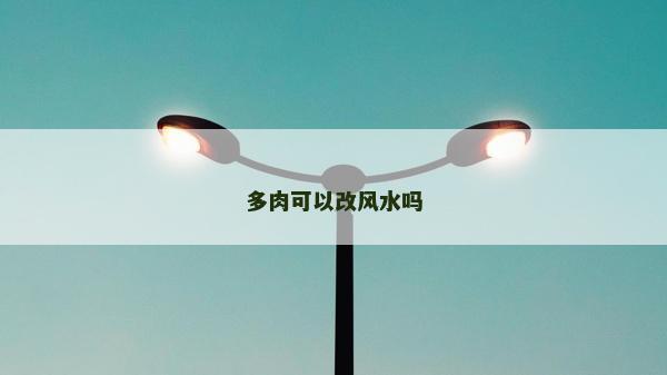 多肉可以改風水嗎