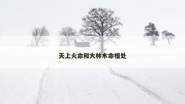 天上火命和大林木命相處
