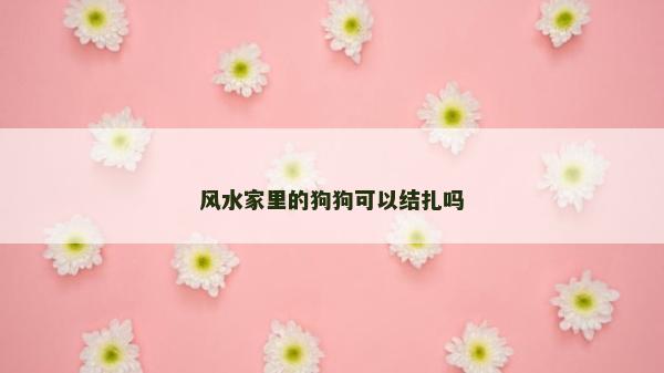 風水家里的狗狗可以結扎嗎