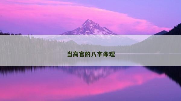 當高官的八字命理
