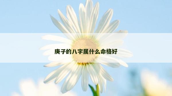 庚子的八字屬什么命格好