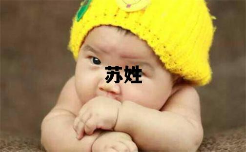 蘇姓吉利的女寶寶名字