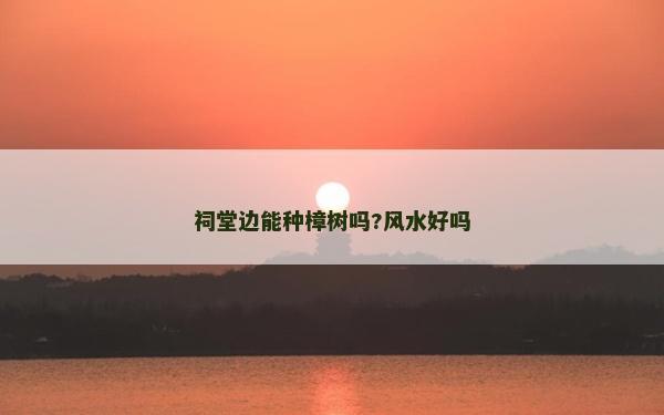祠堂邊能種樟樹嗎?風(fēng)水好嗎
