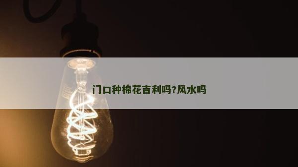 門口種棉花吉利嗎?風水嗎