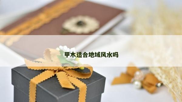 甲木適合地域風水嗎