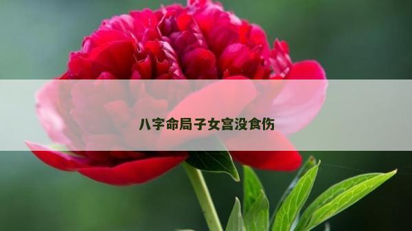八字命局子女宮沒食傷