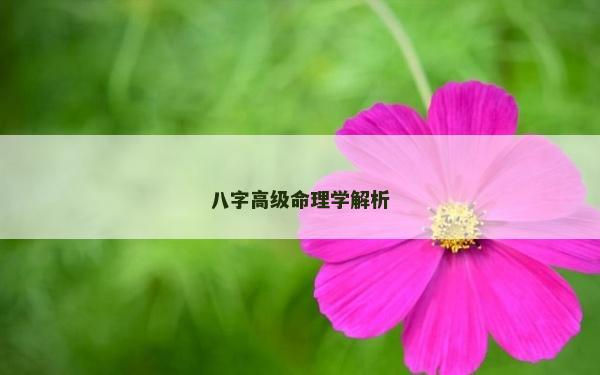 八字高級命理學(xué)解析