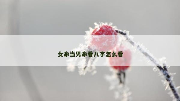 女命當(dāng)男命看八字怎么看