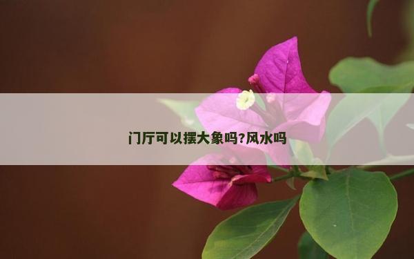 門廳可以擺大象嗎?風(fēng)水嗎