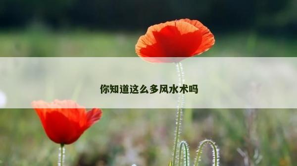 你知道這么多風(fēng)水術(shù)嗎