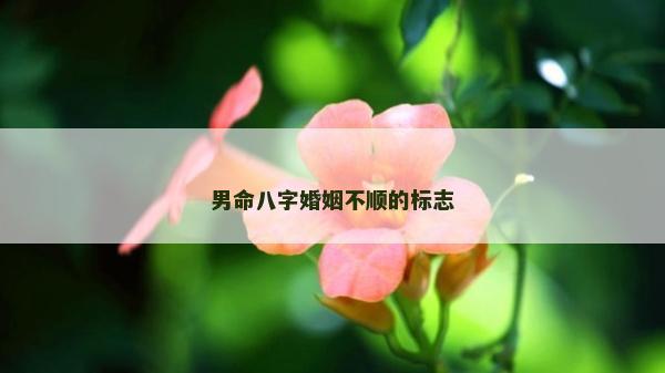 男命八字婚姻不順的標(biāo)志