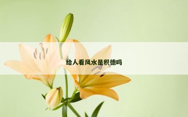 給人看風水是積德嗎 給人看風水是積德嗎