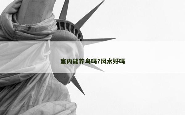 室內(nèi)能養(yǎng)鳥嗎?風(fēng)水好嗎