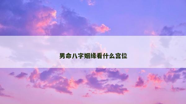 男命八字姻緣看什么宮位