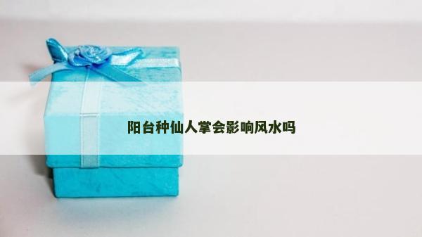 陽臺種仙人掌會影響風水嗎