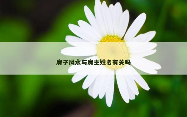 房子風水與房主姓名有關嗎