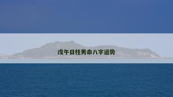 戊午日柱男命八字運勢