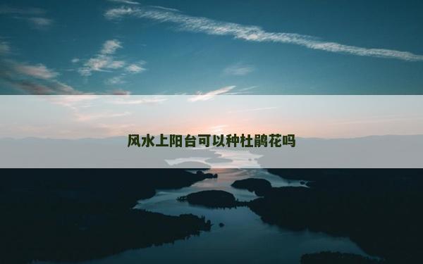 風水上陽臺可以種杜鵑花嗎