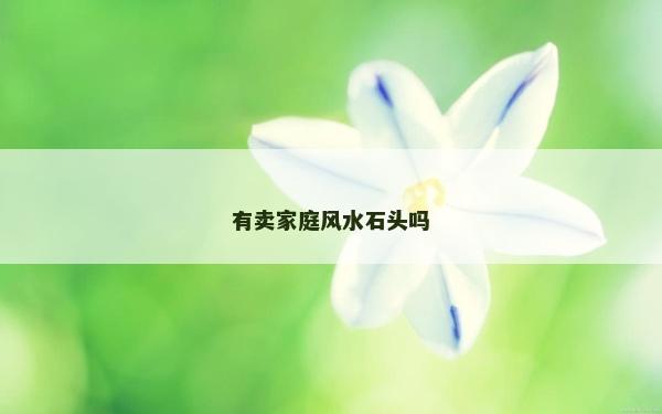 有賣家庭風水石頭嗎