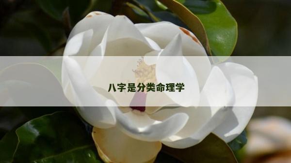 八字是分類命理學(xué)