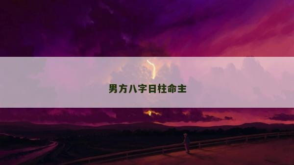 男方八字日柱命主