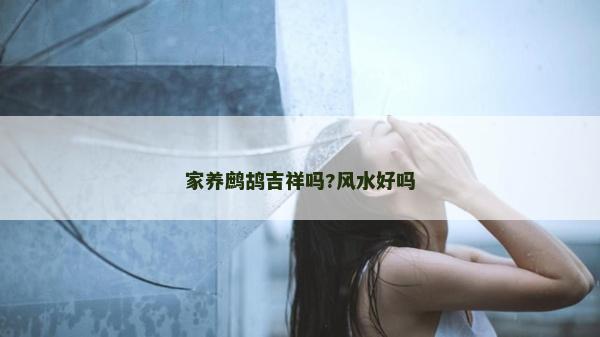 家養(yǎng)鷓鴣吉祥嗎?風(fēng)水好嗎 家養(yǎng)鷓鴣吉祥嗎?風(fēng)水好嗎