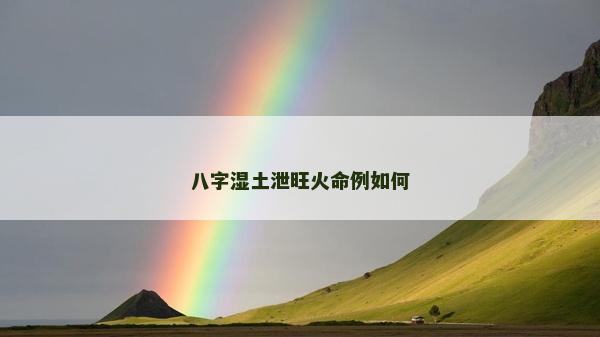 八字濕土泄旺火命例如何