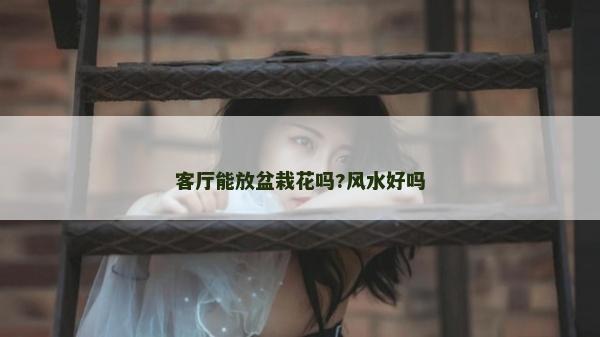 客廳能放盆栽花嗎?風水好嗎