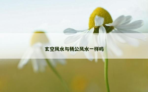 玄空風(fēng)水與楊公風(fēng)水一樣嗎