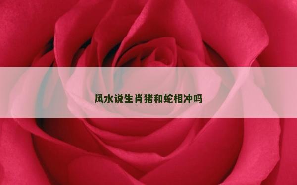 風水說生肖豬和蛇相沖嗎